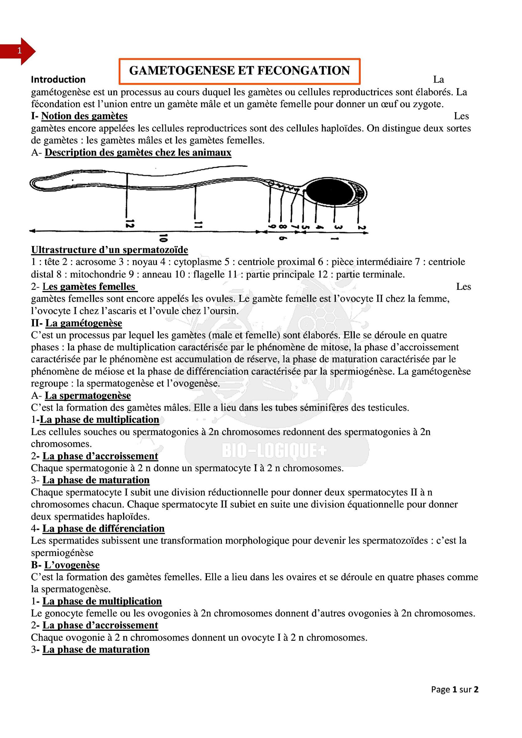 doc118.jpg