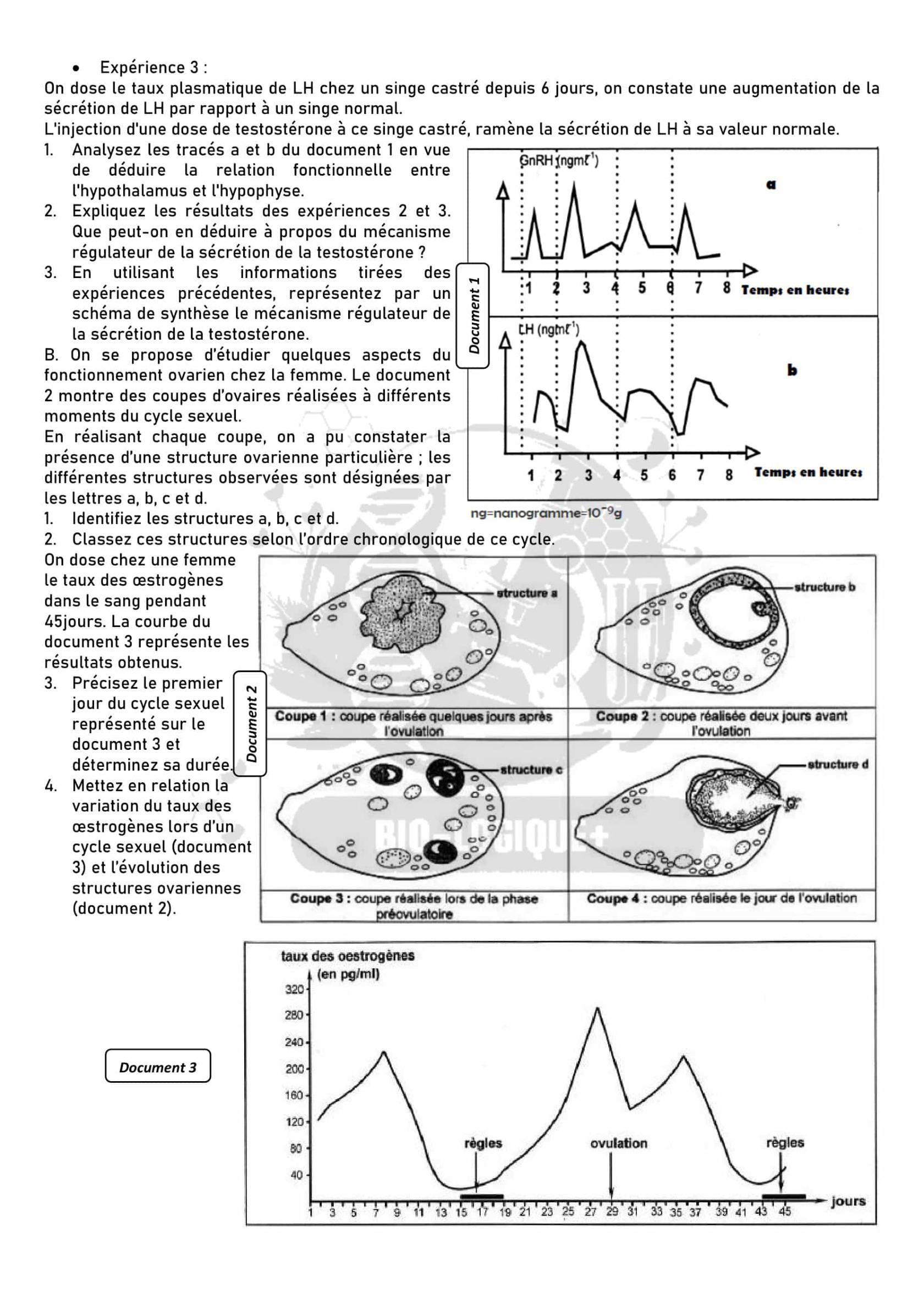 doc119.jpg