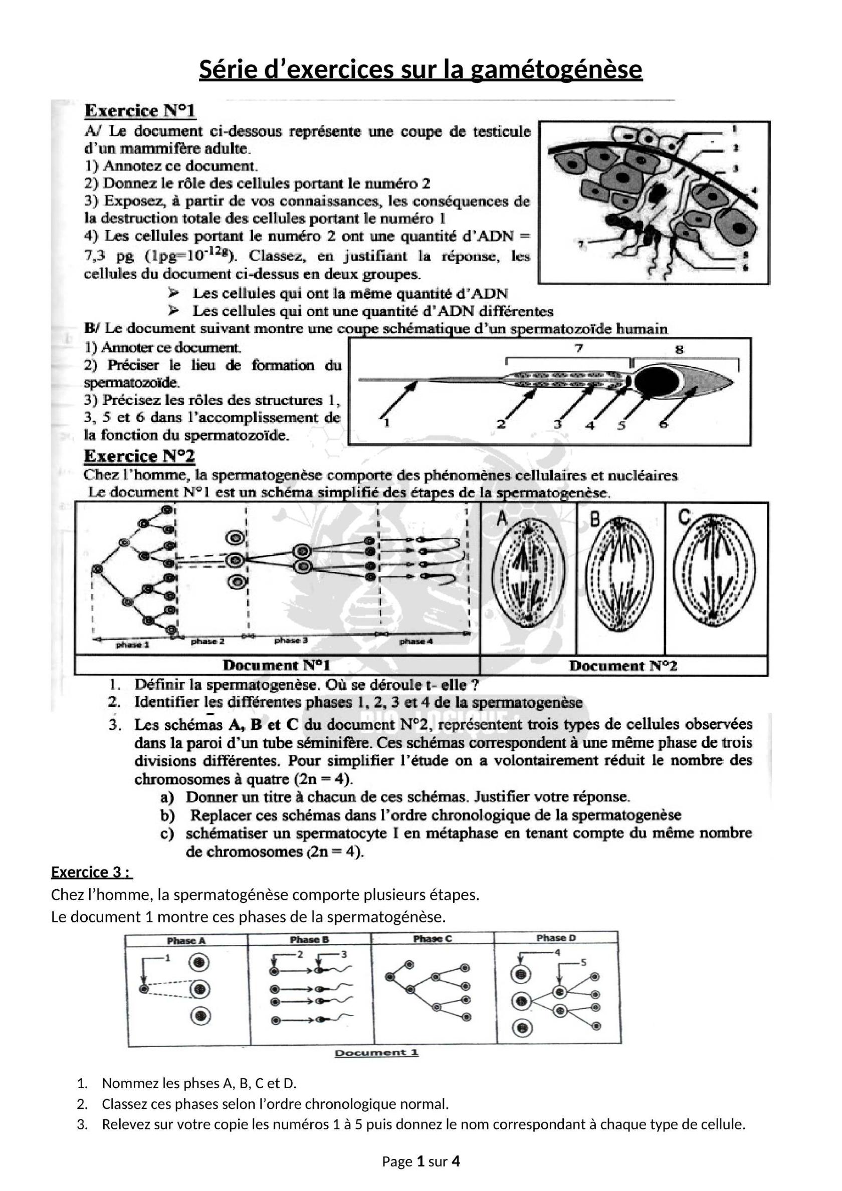 doc136.jpg