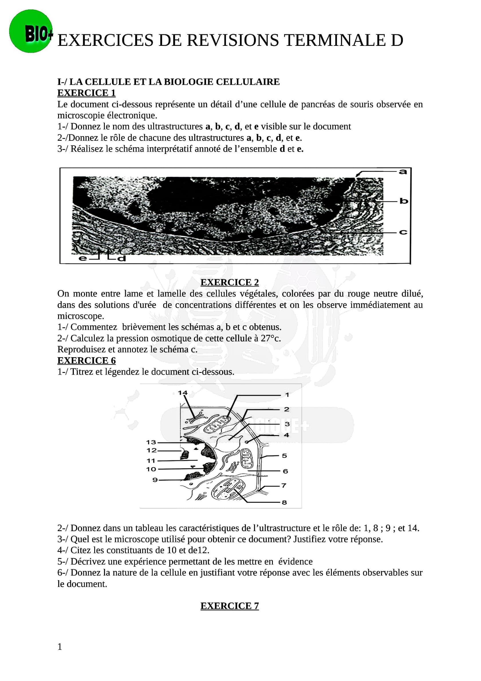 doc149.jpg