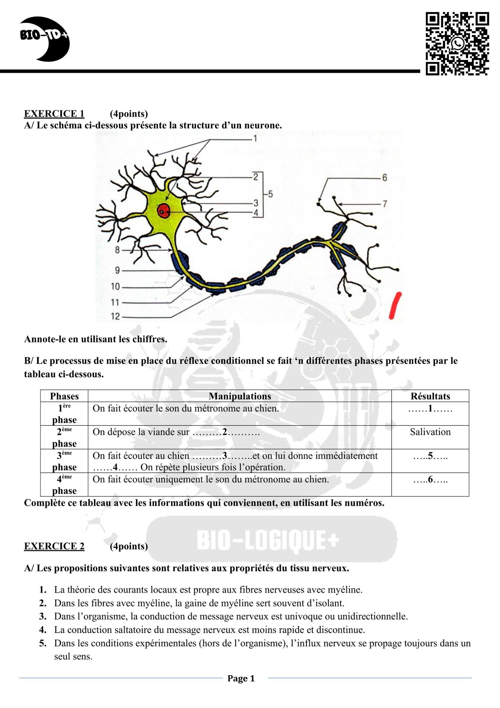 doc164.jpg