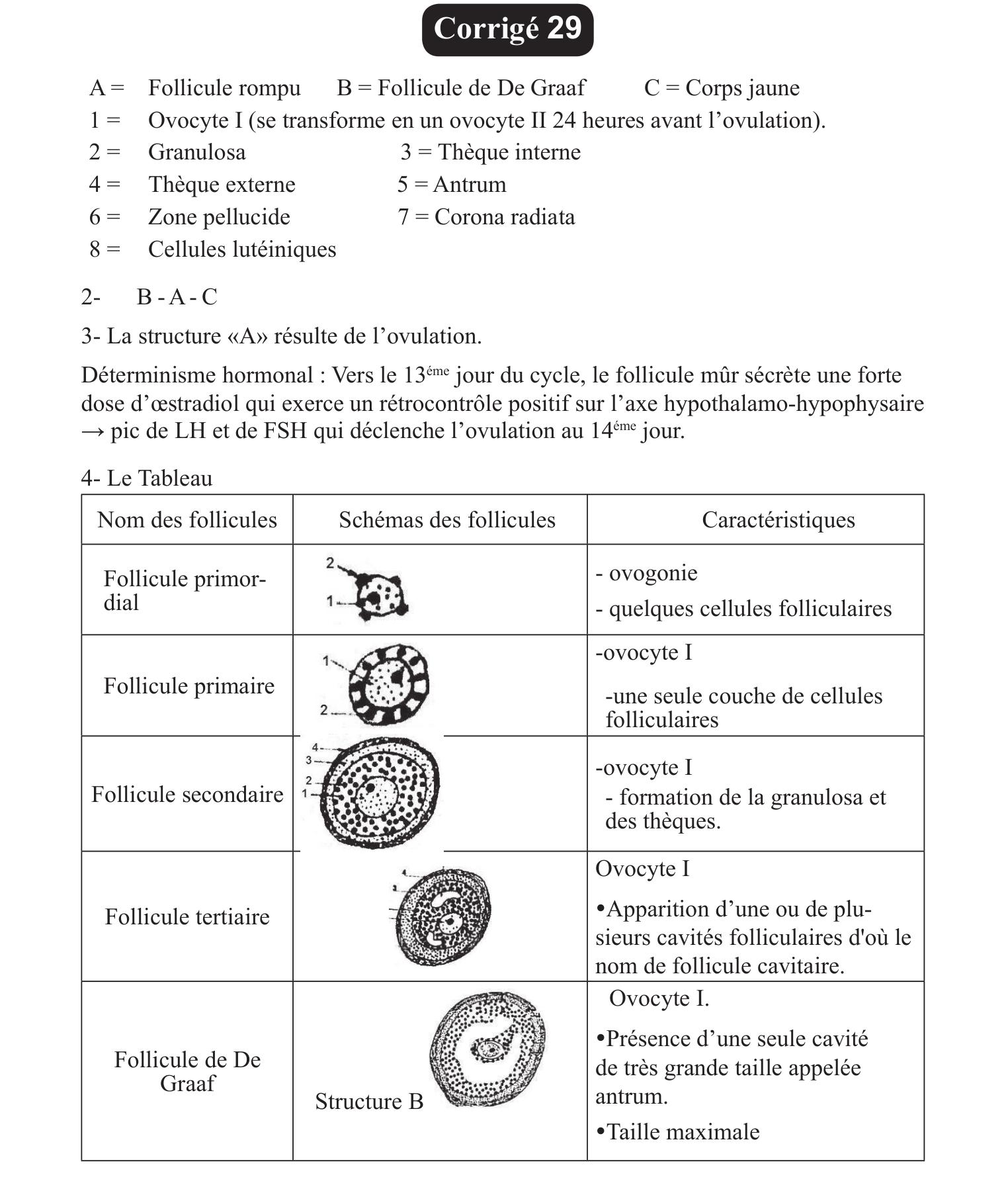 doc183.jpg